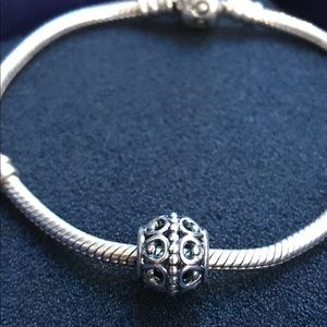 *Retired PANDORA Charm